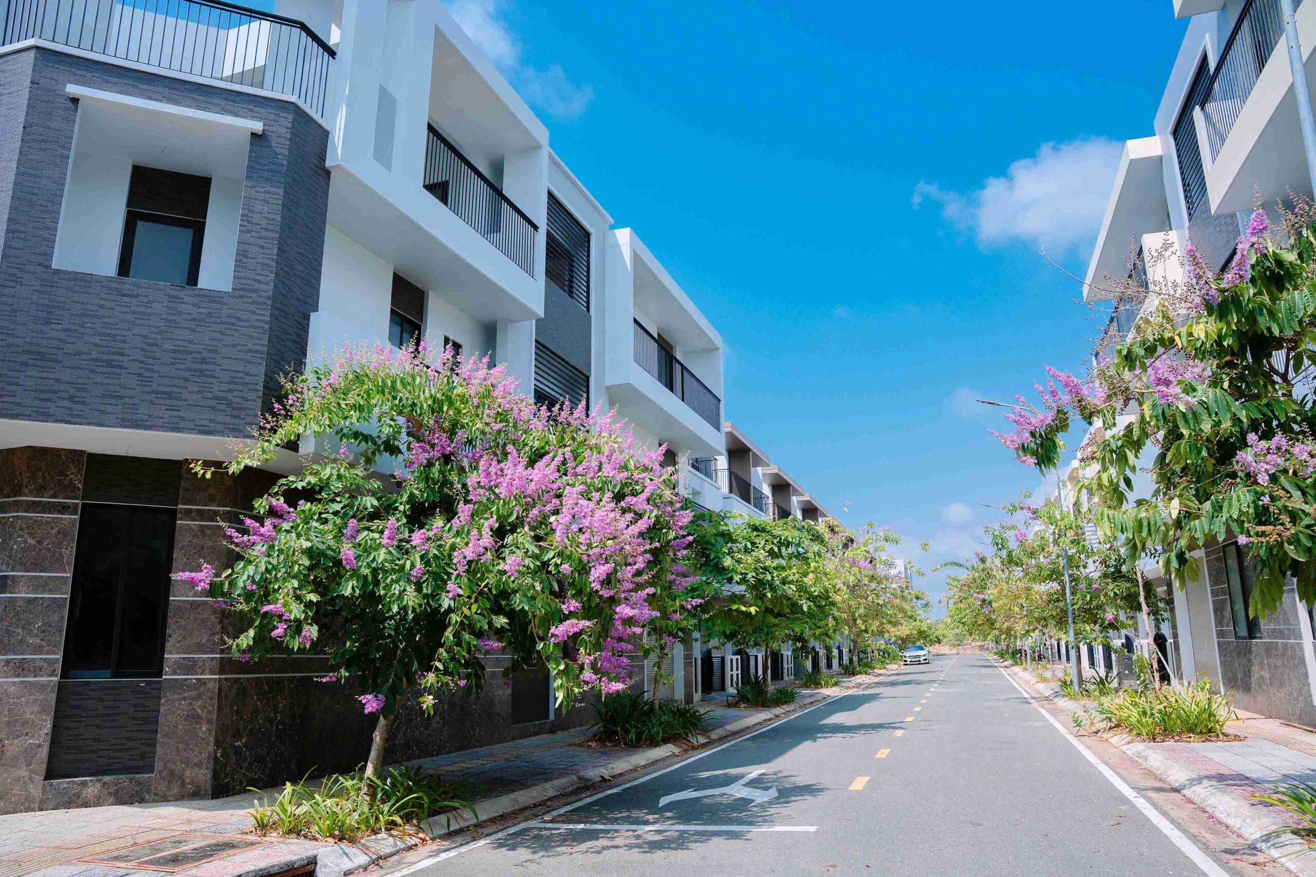 Bản sao của HTN00533