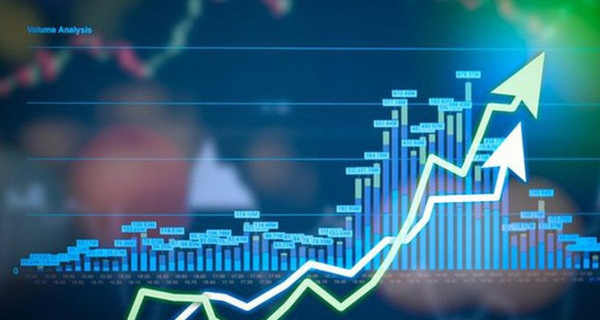 Báo cáo kết quả giao dịch quyền mua cổ phiếu của người nội bộ và người liên quan người nội bộ